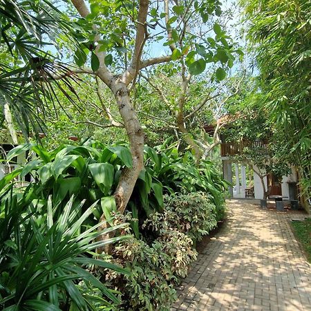 Villa Arana 벤토타 외부 사진