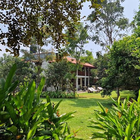Villa Arana 벤토타 외부 사진