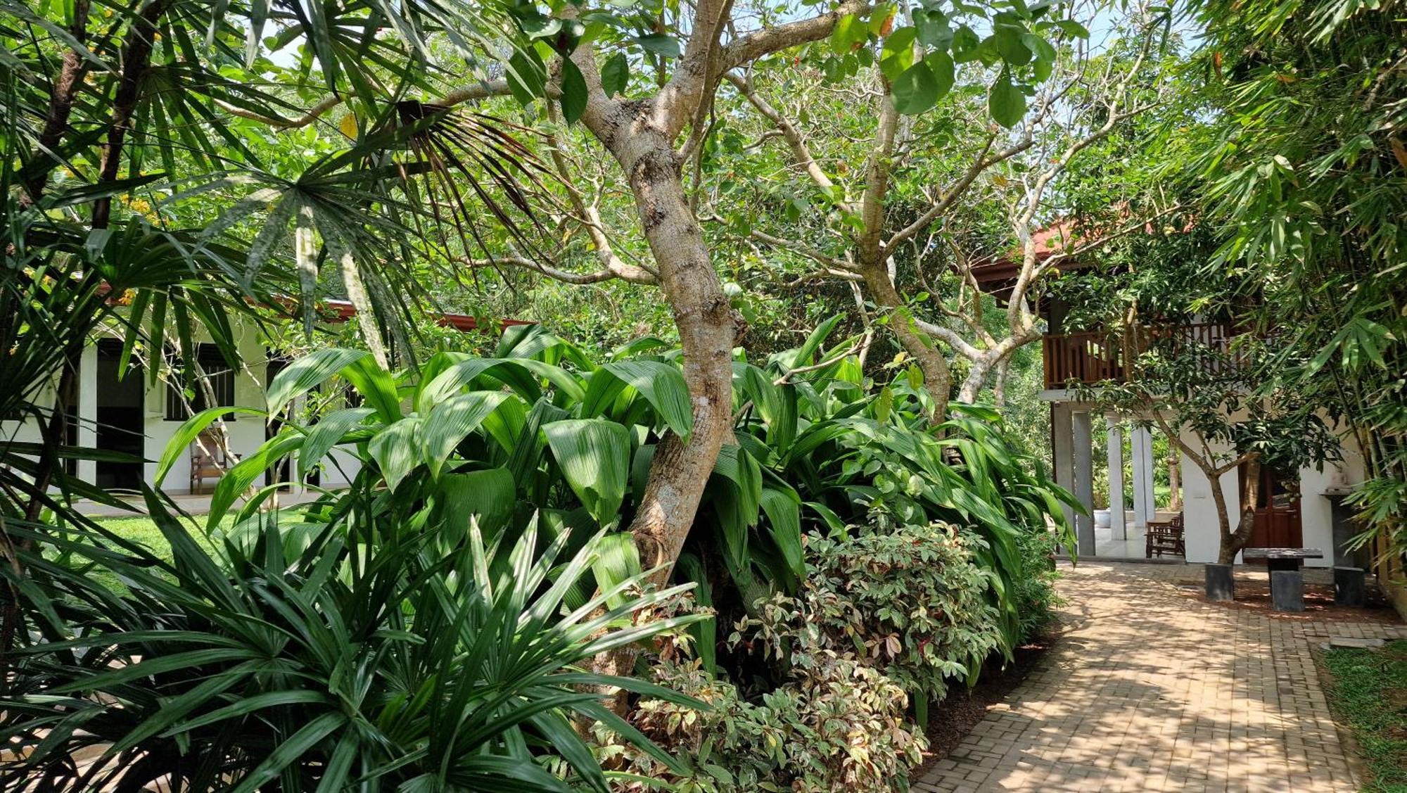 Villa Arana 벤토타 외부 사진