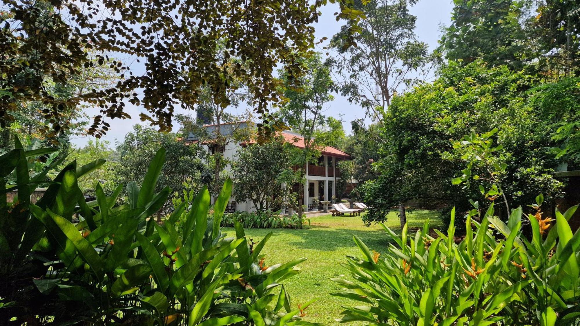 Villa Arana 벤토타 외부 사진