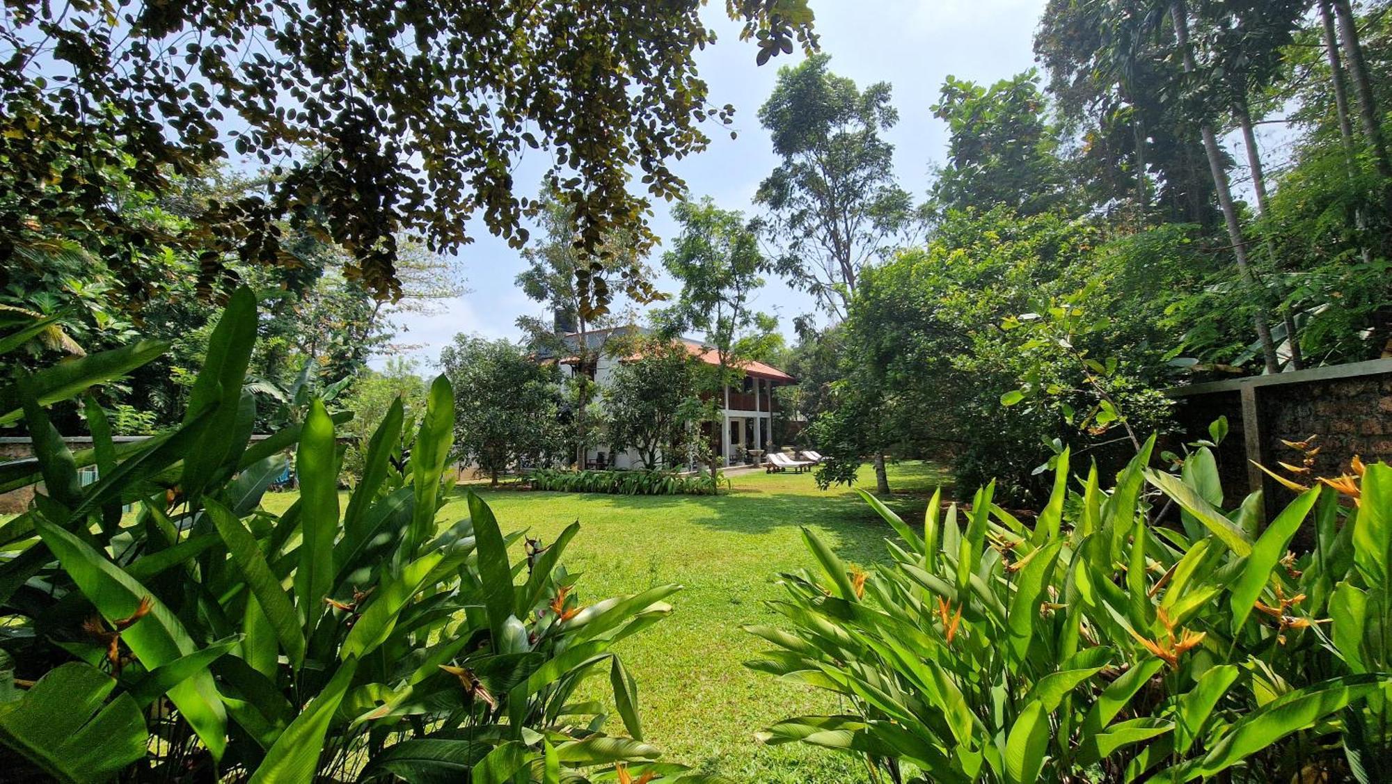Villa Arana 벤토타 외부 사진